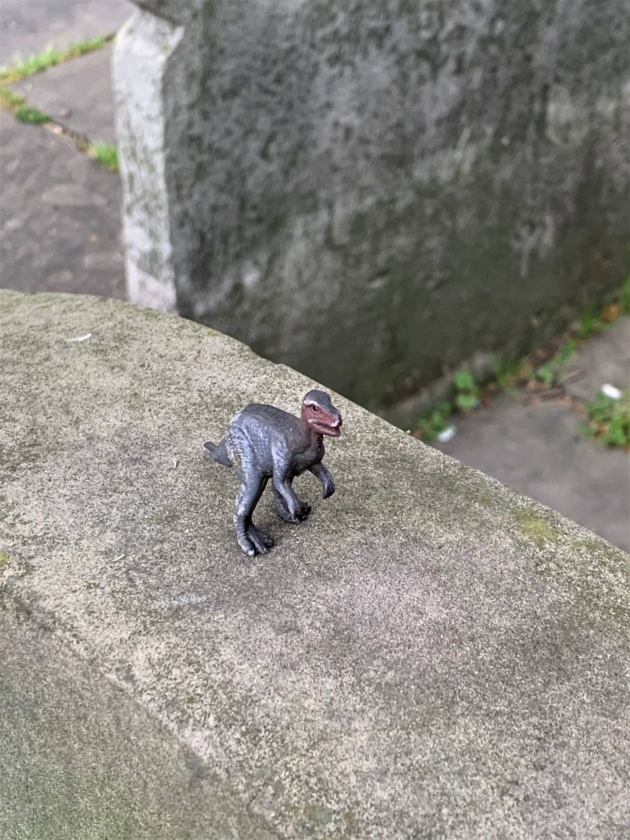 Jeane Trend-Hill.   35-65. 

Plastic dinosaur on top of a grave in Bunhill Fields.

I do a lot of photography / research in cemeteries as some of the monuments are spectacular. I also attend funerals for those who have no one or few to attend so alwa