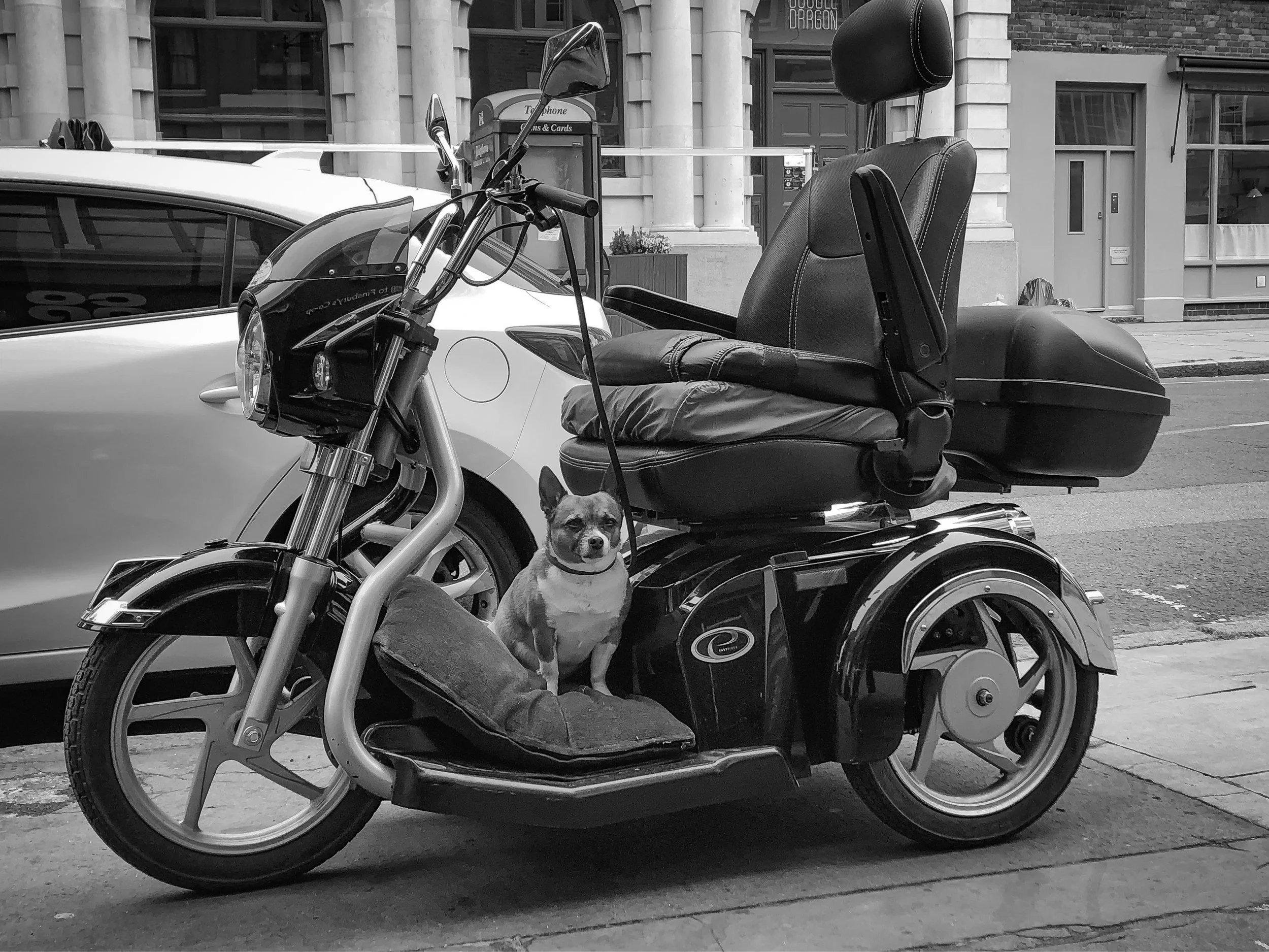 Agata Piccin.  35-65
 “Live the best life”   A dog on motorcycle waiting for the owner spotted in Exmouth Market / Co-Op store