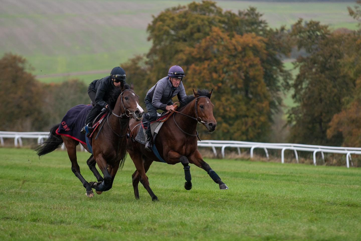 KODIAC THRILLER (picture far side) won at Lingfield Park Resort under @williamcox 👏👏👏 

Great to end the year with a winner. A huge thank you to all the team at home, our owners, suppliers, sponsor @stonegatehomes and all the jockeys who have ridd