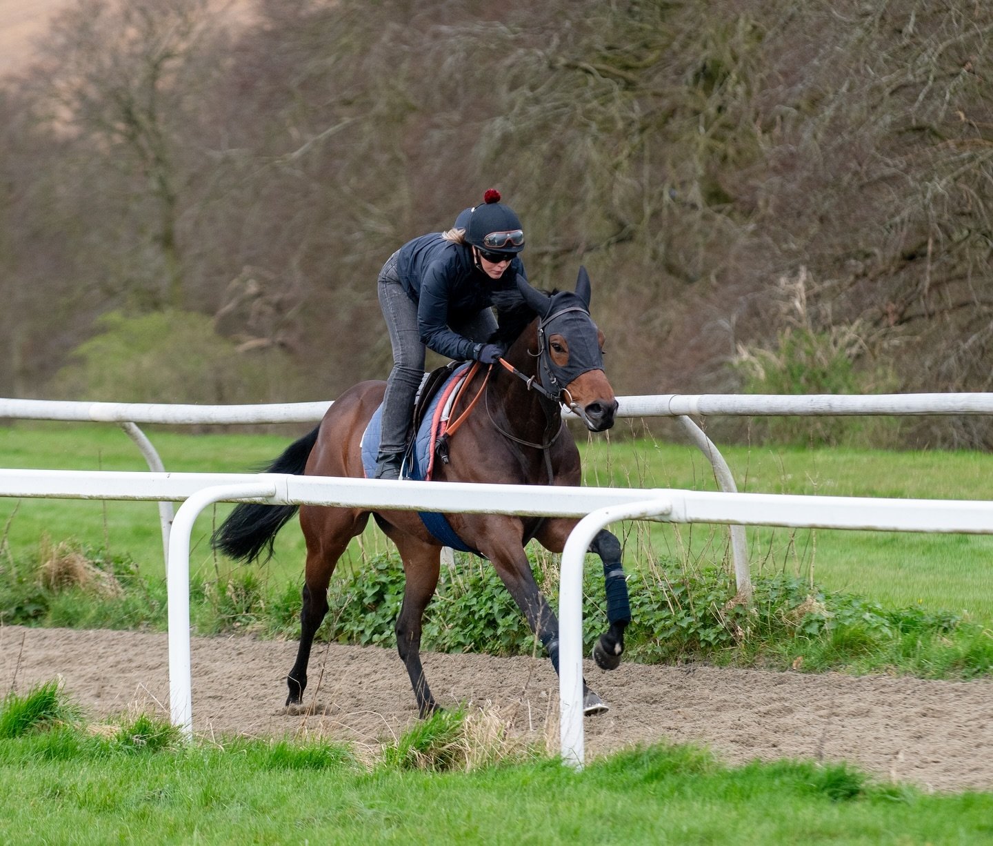 🏆ROBBO wins easily at @chelmsfordcityracecourse under @rob.hornby28 for Aura Racing 🐎🏆
Congratulations to all involved 👏🥇🏇🏻

#horseracing #winnerteam🏆 #winnerhorse #racinghorses #thoroughbred #charliehillsracing #horsesofinstagram #racehorses