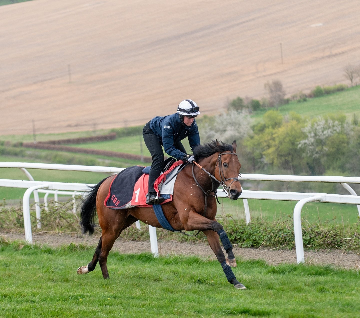 EQUALITY wins at @musselburghracecourse under @saffie.osborne for @kvsyndicates 🏇🏻🏆🏇🏻🏆
Congratulations to jockey, owner and all our staff at home 👏👏👏🐎🐎🐎🏆🏆🏆 

#racehorses #winnerhorse #winningteam #thoroughbred #horseracing #charliehill