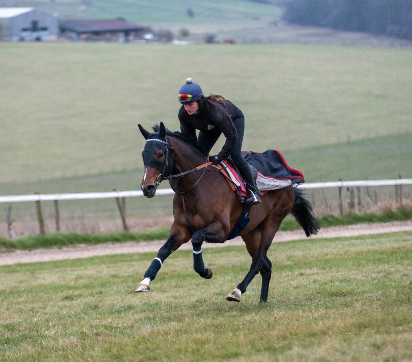 🏆🐎🏆 MAHGLAAK wins the &pound;50,000 William Hill Racing Epic Boost Handicap under @rabhavlin1 for @shadwell_eu @hissa_hamdan at @goodwood_races 🏆🐎🏆
Congratulations to jockey, owner and all our team 👏👏🥇🥇🐎🐎

#winnerhorse #winninteam #horser