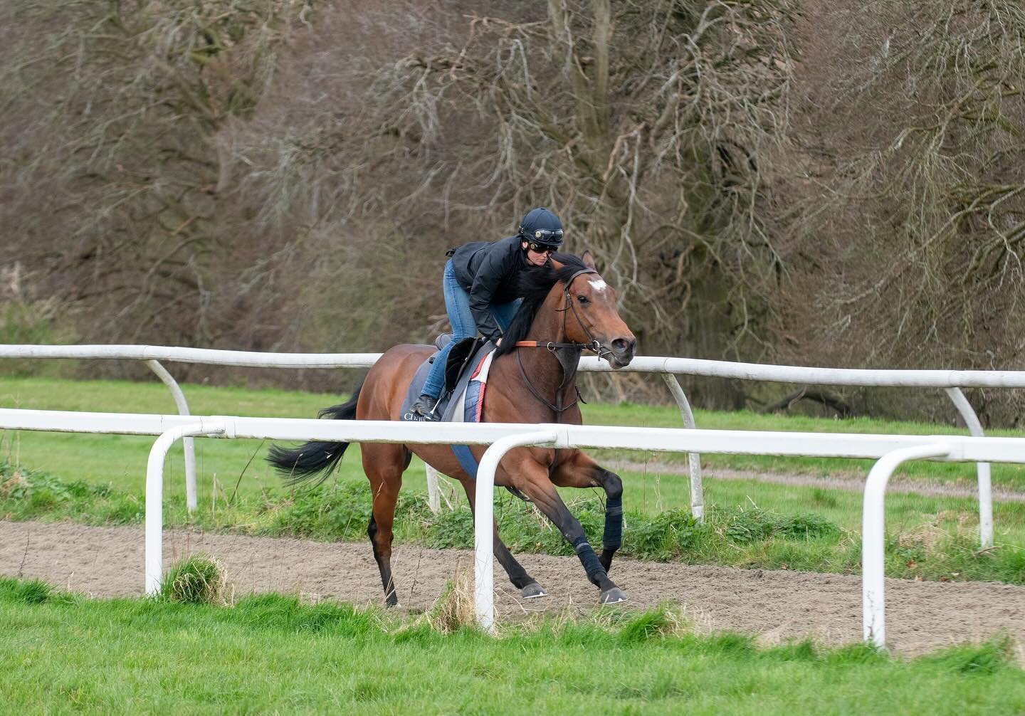 🏆🐎🏆MILETUS gets his head in front at @royalwindsorracecourse under @rossaryan52 for @mclaren_horse_racing 👏👏
Many congratulations to jockey, owners and all our team 🏆🐎🏆🐎🏆
#winninghorse #horseracing #horseracingphotography #charliehillsracin