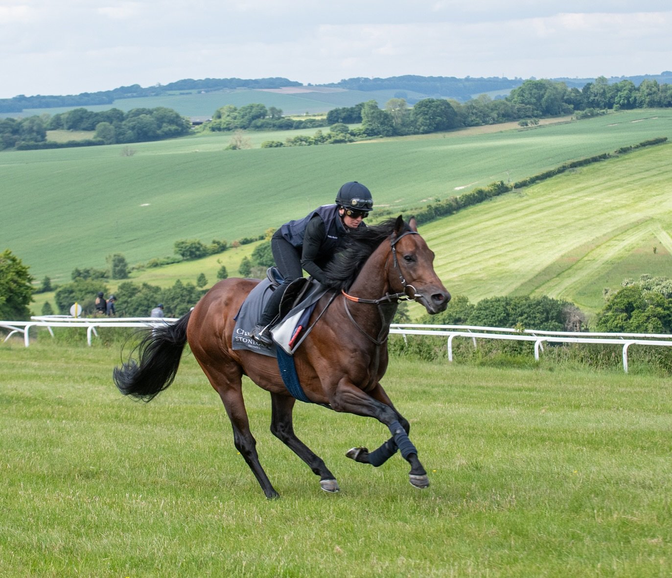 🏆🐎🏆 CICERO&rsquo;S GIFT returns in great style. After more than a year he&rsquo;s back on track and has won the Coral Challenge at @sandownparkracecourse under a brilliant ride by @billy.loughnane 👏🏇🏻

🏠 This is all down to the amazing team at