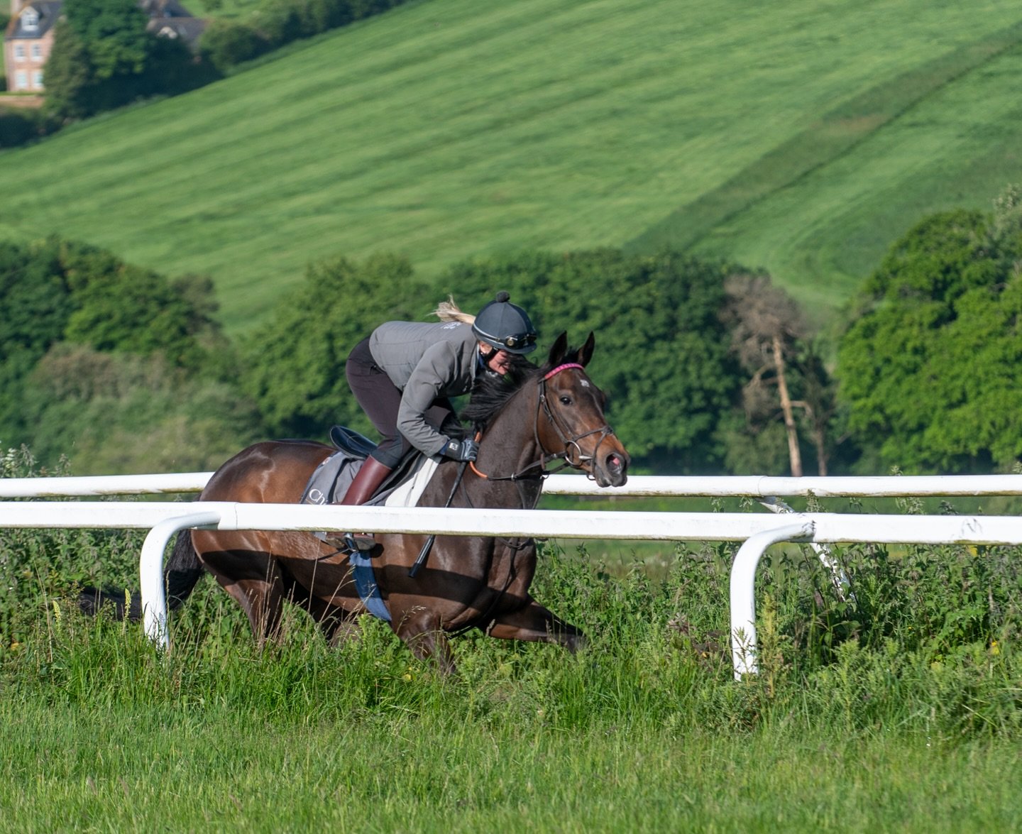 🏆 🐎 🏆 REMARKABLE FLIGHT wins at @epsomdownsracecourse under @william_cox1 for Mildmay Racing &amp; Aura Racing 👏👏
Congratulations to all involved 🥇🥇🐎🐎🐎

#winninghorse #winningteam #horseracing #racehorse #epsomracecourse #charliehillsracing
