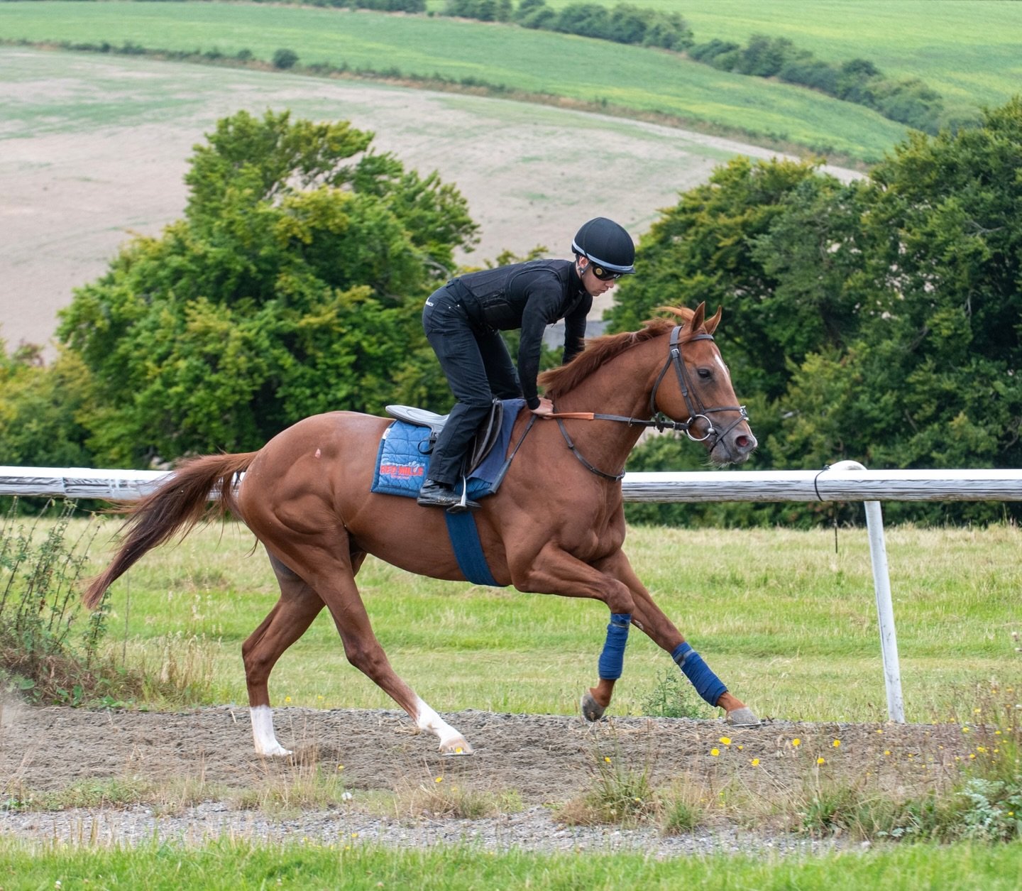 🏆 🐎 HUSCAL wins again at @thirskraces under @_jasonwatson_ for Rosehill Racing II 👏🏇🏻🏆🏆 Many congratulations to jockey, owners and all our team at home 👏🥇🥇🐎🐎
&bull;

&bull;
#horseracing #horseriding #horseracingphotography #thoroughbred #