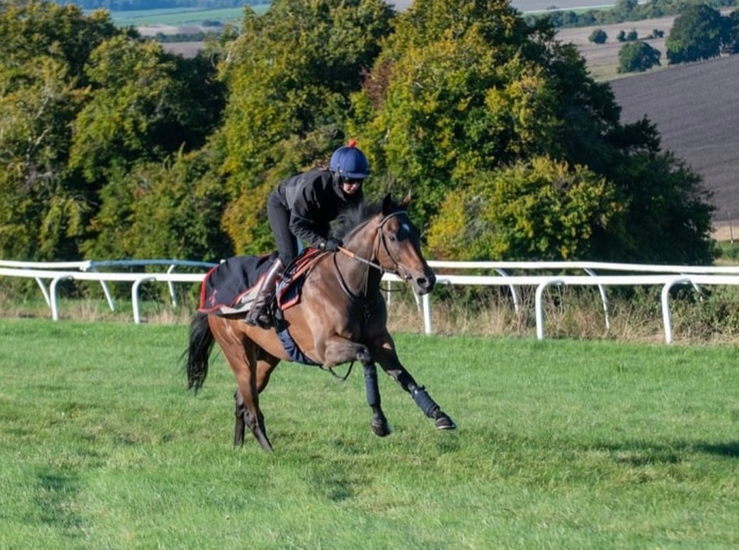 🏆 🐎🏆 SUPREME SOVEREIGN wins at @southwellracecourse under @_jasonwatson_ for Teme Valley Racing 👏👏🏆🏆
Many congratulations to jockey, owners and all our team! 🐎🐎🏆🏆
&bull;
&bull; 
#horseracing #winninghorse #winningteam #winningteam🏆 #horse