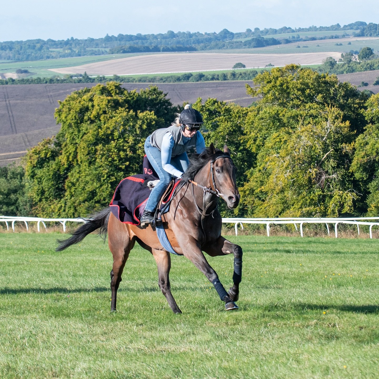 🏆🐎🏆 JERSEY ROCS wins at @southwellracecourse under @fallon_cieren for @oldgoldracingofficial 👏👏👏

Many congratulations to all involved 👏🏆🐎🐎
&bull;
&bull;
#horseracing #racehorse #winninghorse #winningteam #jerseyrocs #charliehillsracing #ho