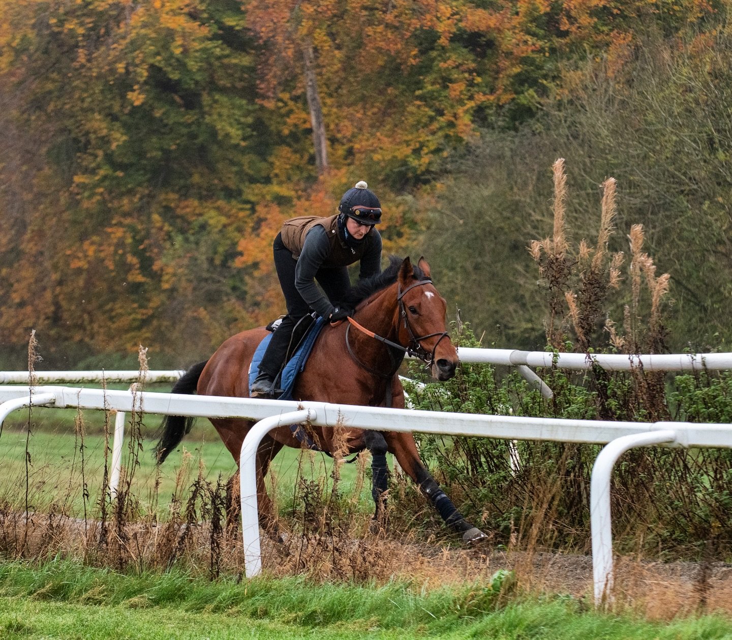 🏆🐎🏆 SHIPLAKE gets his head in front at @newcastleracecourse under @leveysean for @amo_racing 👏👏🐎🐎
Many congratulations to jockey, owners and all our team at home 🏆🐎🏆🐎
&bull;
&bull;
@shiplakecollege 
&bull;
#winninghorse #winningteam #horse
