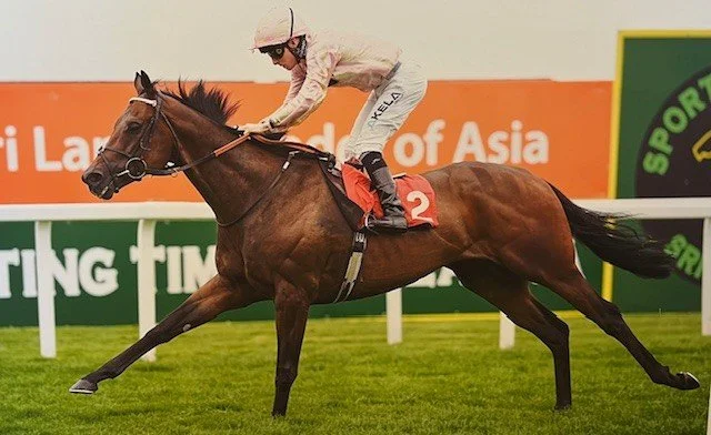 Cicero's Gift winning the Fortune Stakes under Jason Watson.