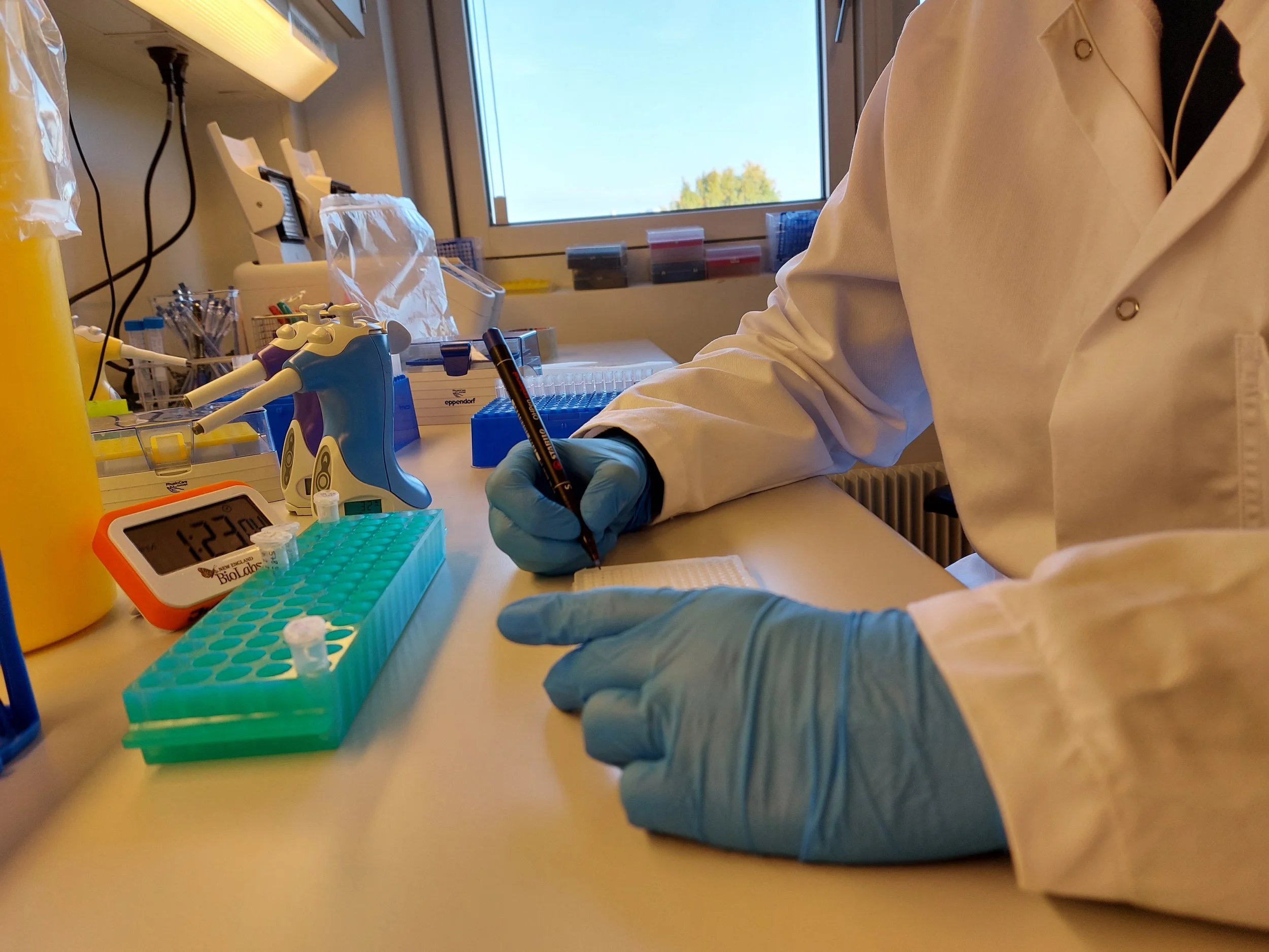 Join the Lab — Regenberg Lab
