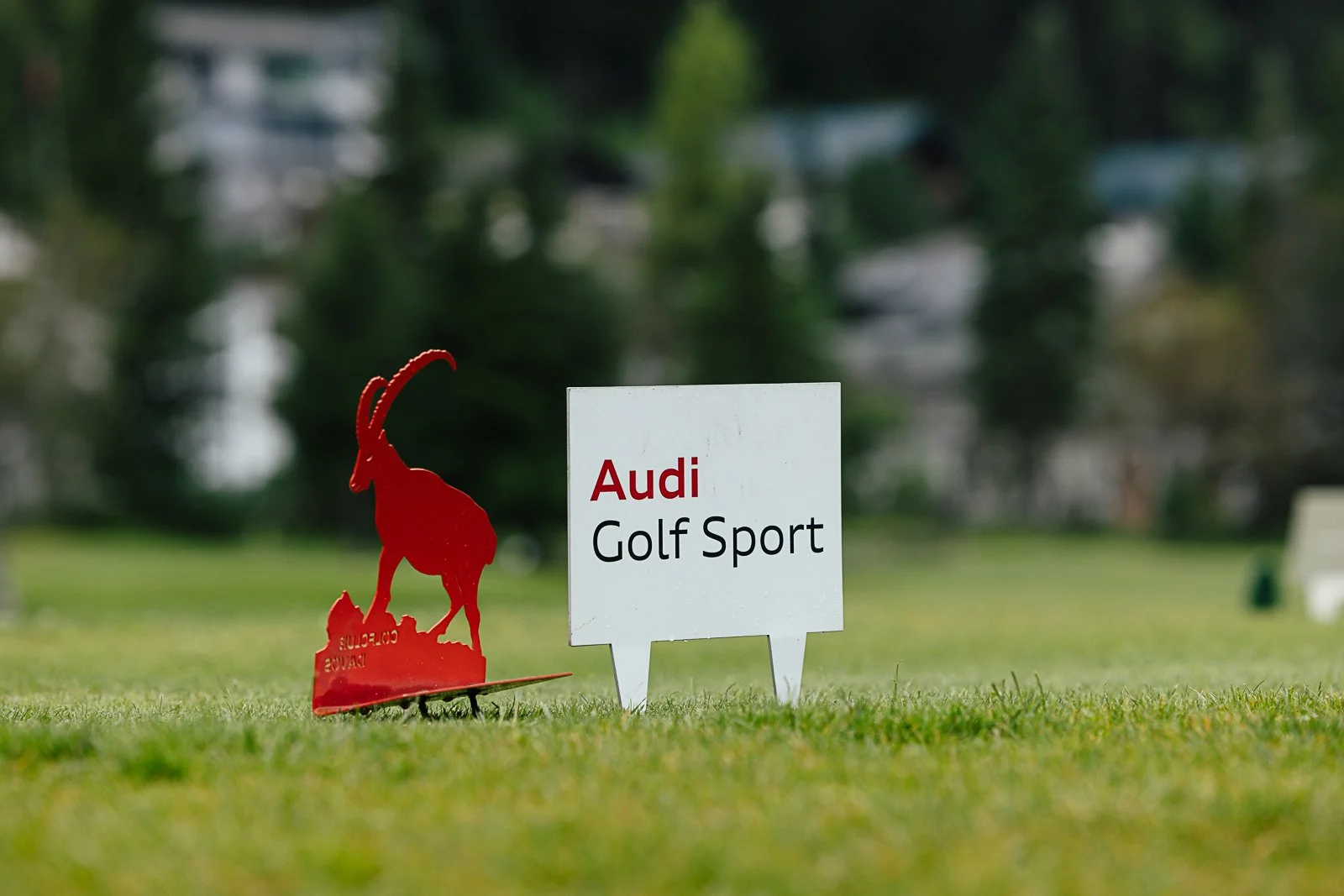 audi-quattro-cup-golf-event-07.jpg