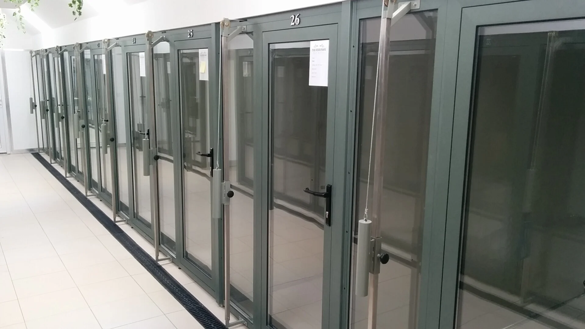 Kennel Build Join the Kennelbuild process at any stage to suit your