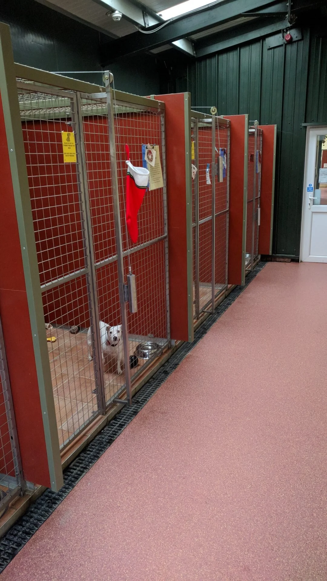 Ashbourne Animal Rescue — Kennel Build