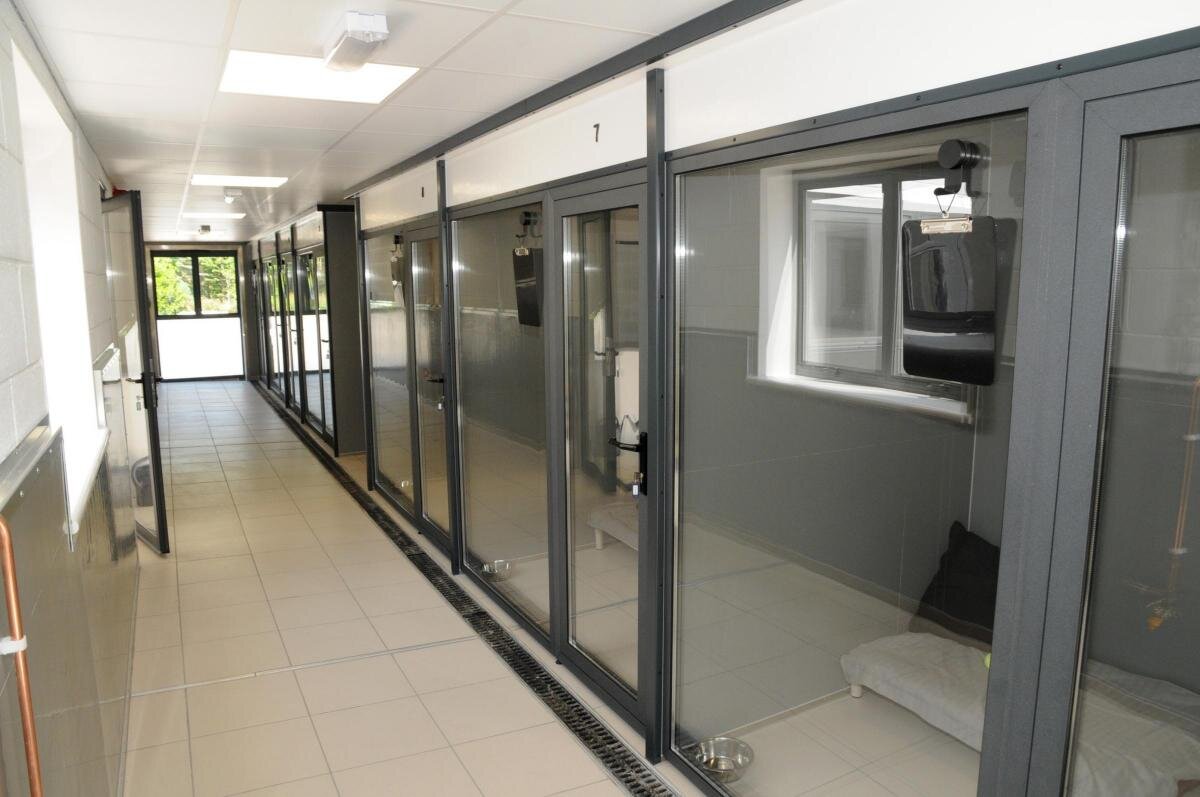 Canine-Clubhouse-Glass-Kennel-Doors.jpg