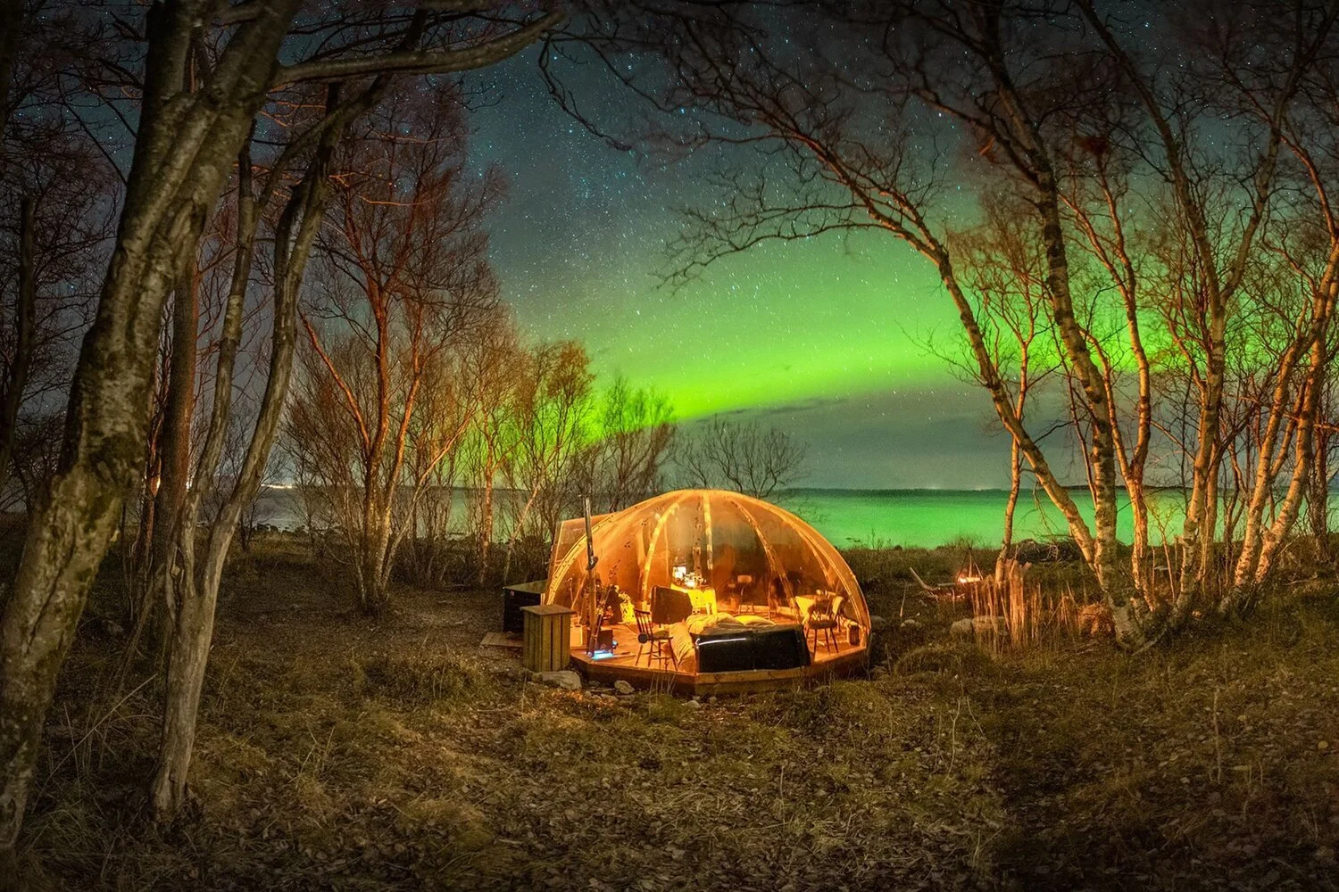 Opplevelser fra Bodø du ikke visste eksisterte