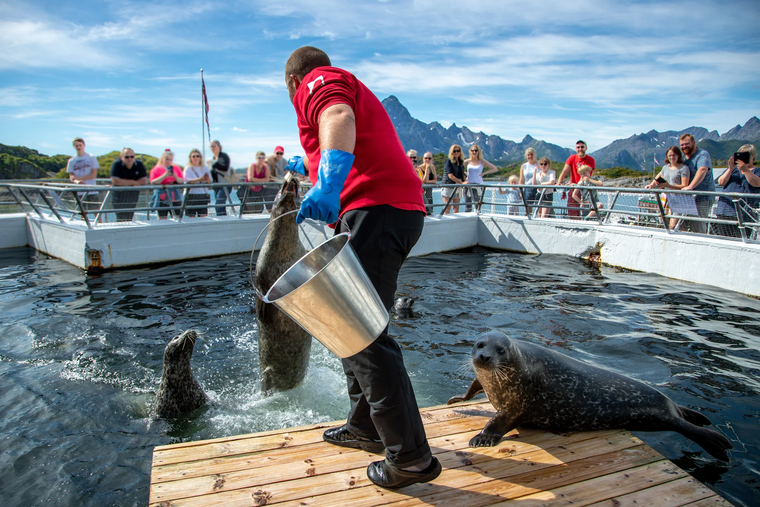 010488_Hallvard-Kolltveit_Destination-Lofoten.jpg
