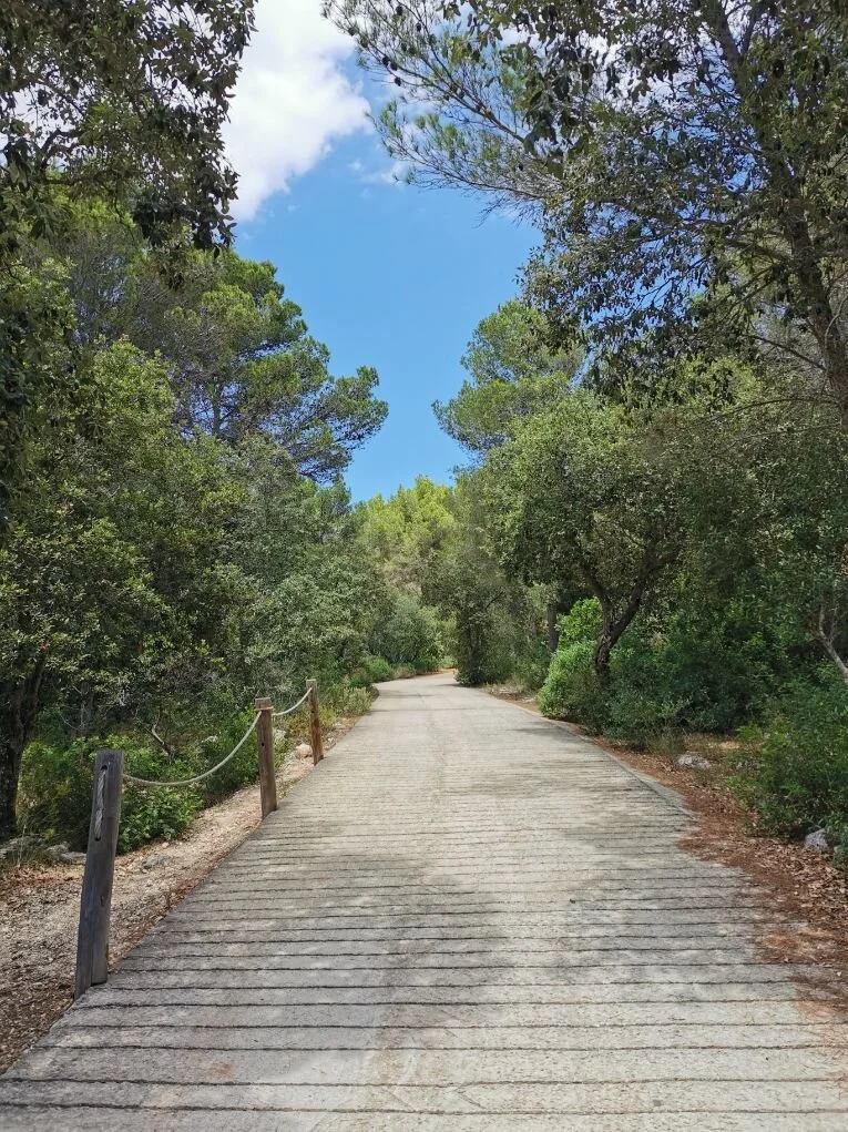 Cala Mitjaneta-path.jpg