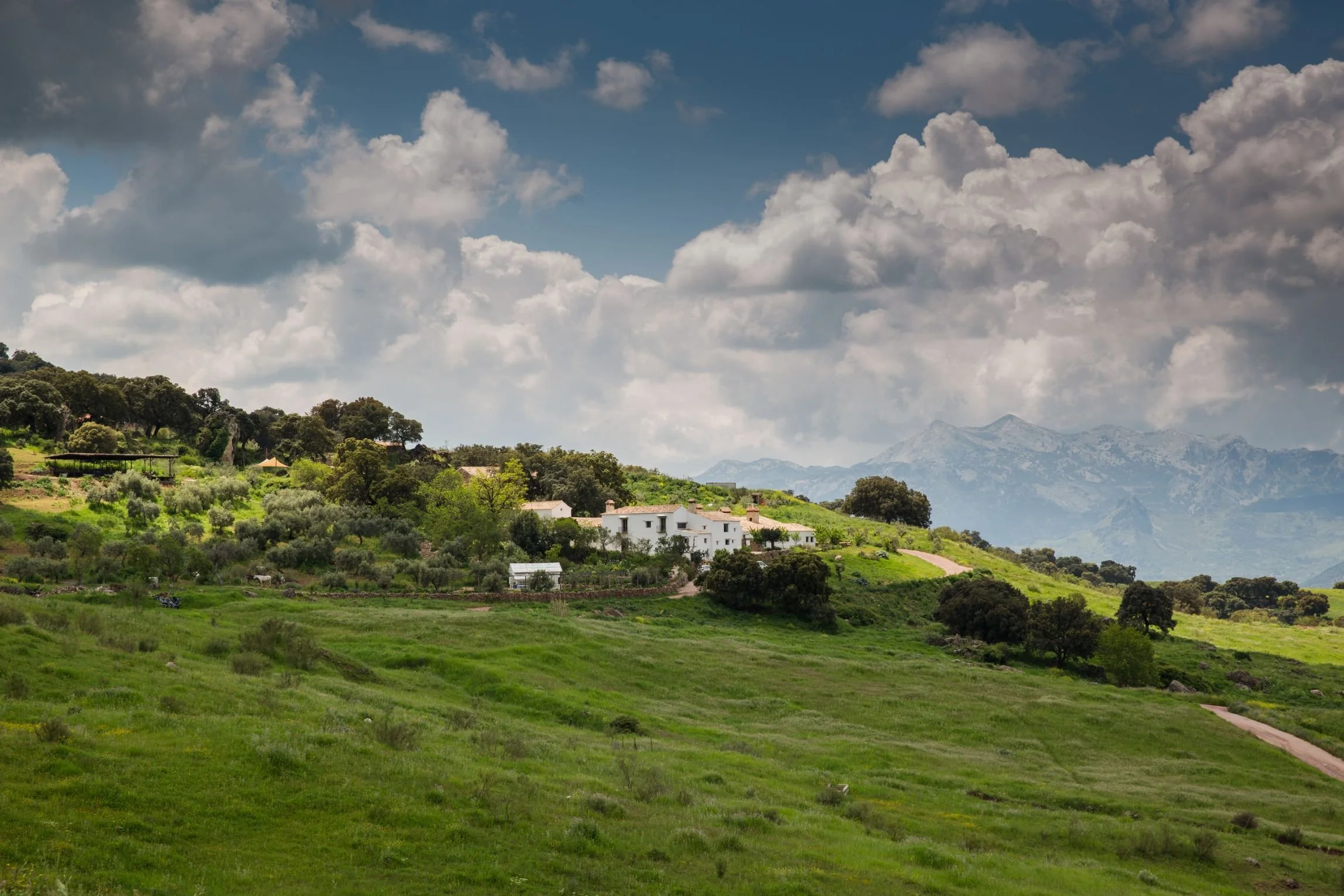 La Donaira_landscape_9.jpg