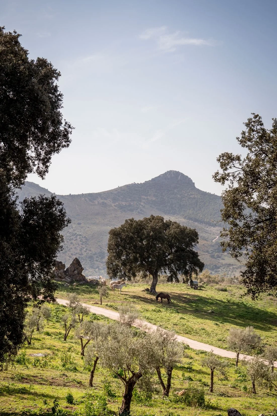 Anna-Maria Indra photos (17).jpg