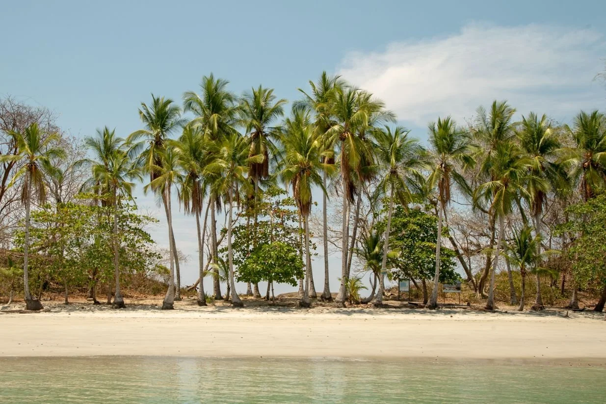 Isla Palenque-Island-TourGood-Trips_.jpg