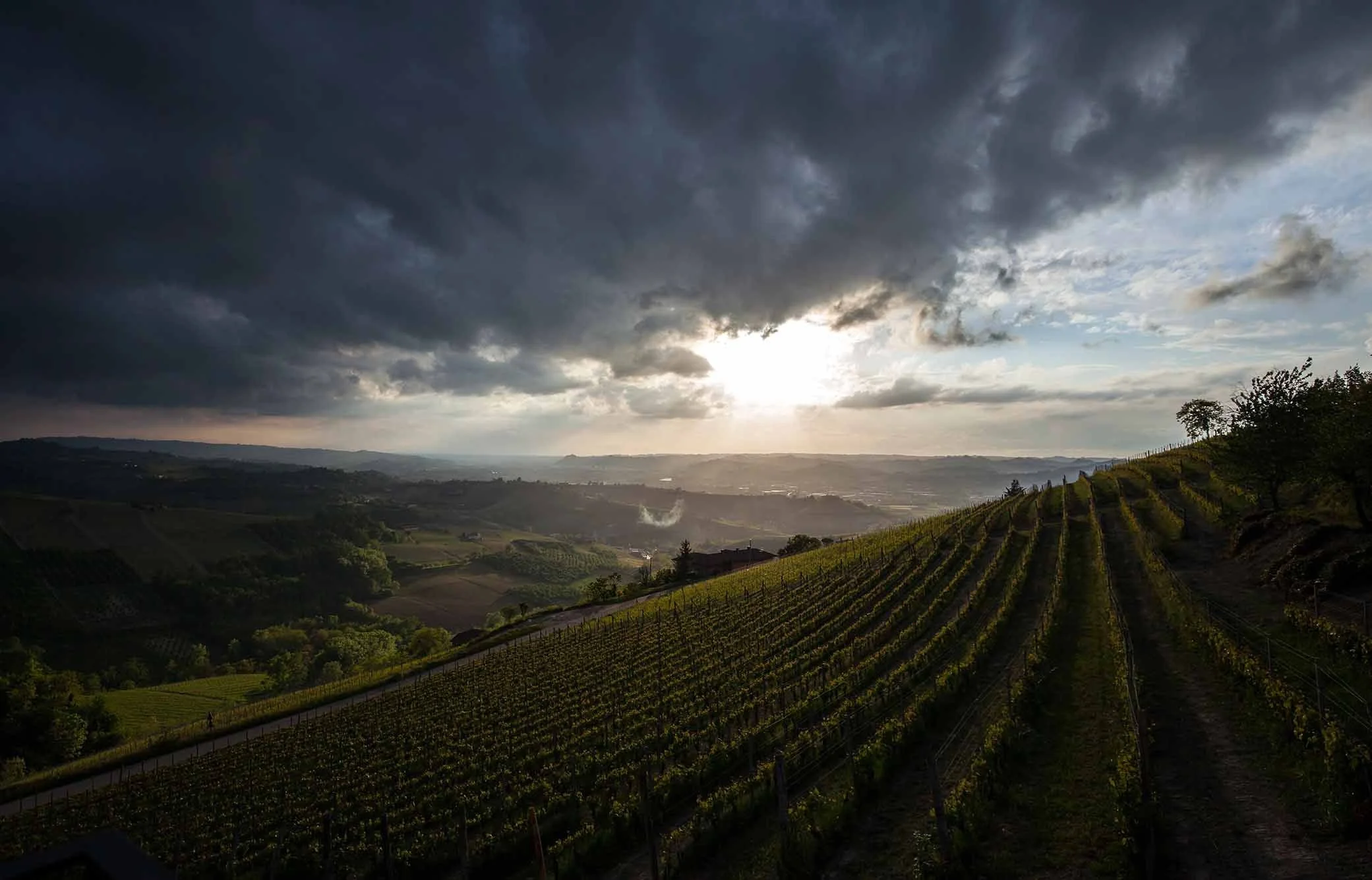 agritourism-dai-gresy_piedmont_good-trips_italian-vineyards.jpg