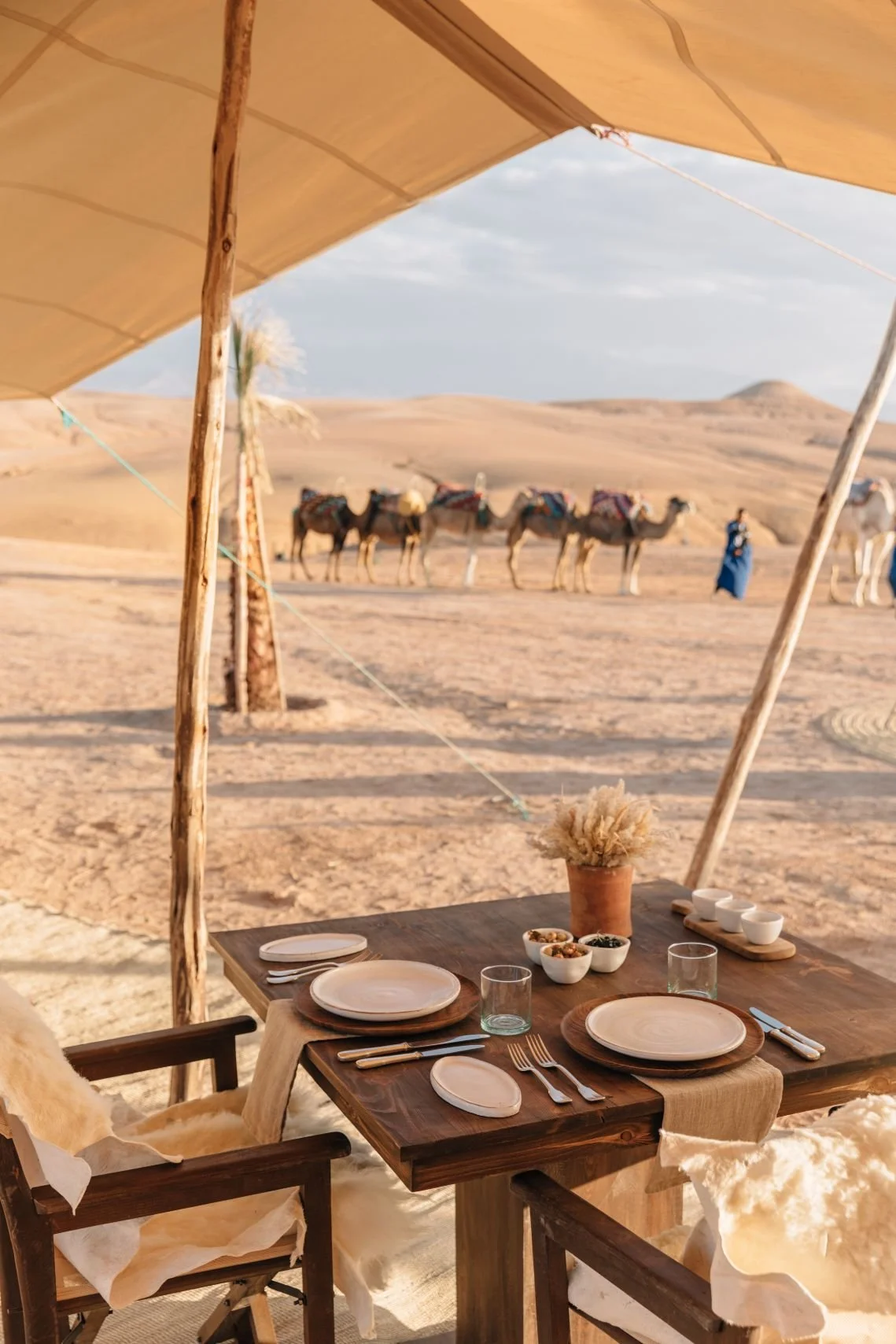 Amanjena, Morocco - Experience, Agafay dinner_30456.jpg