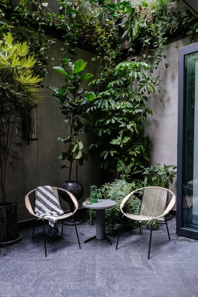 colima 71 area-comun-196_Good-Trips-Travel_.jpg