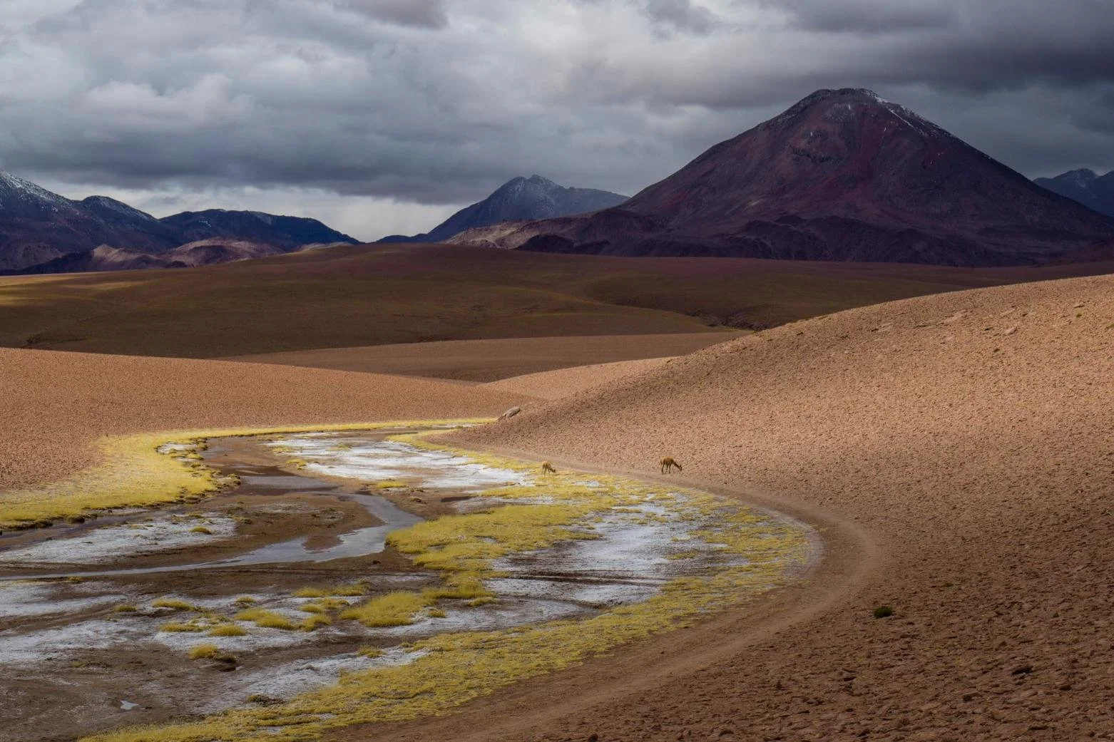 awasi-atacama_46-©Mann_B0003363.jpg
