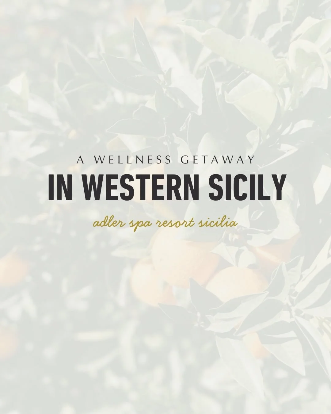 Impressions of Adler Spa Resort Sicilia.

Slow mornings. Salt air. Long walks and soaks. Sunset saunas. Evening massages. Clean food. Hot, cold, repeat.

Built into the landscape, facing the sea, and designed for as much rest or movement as you need.