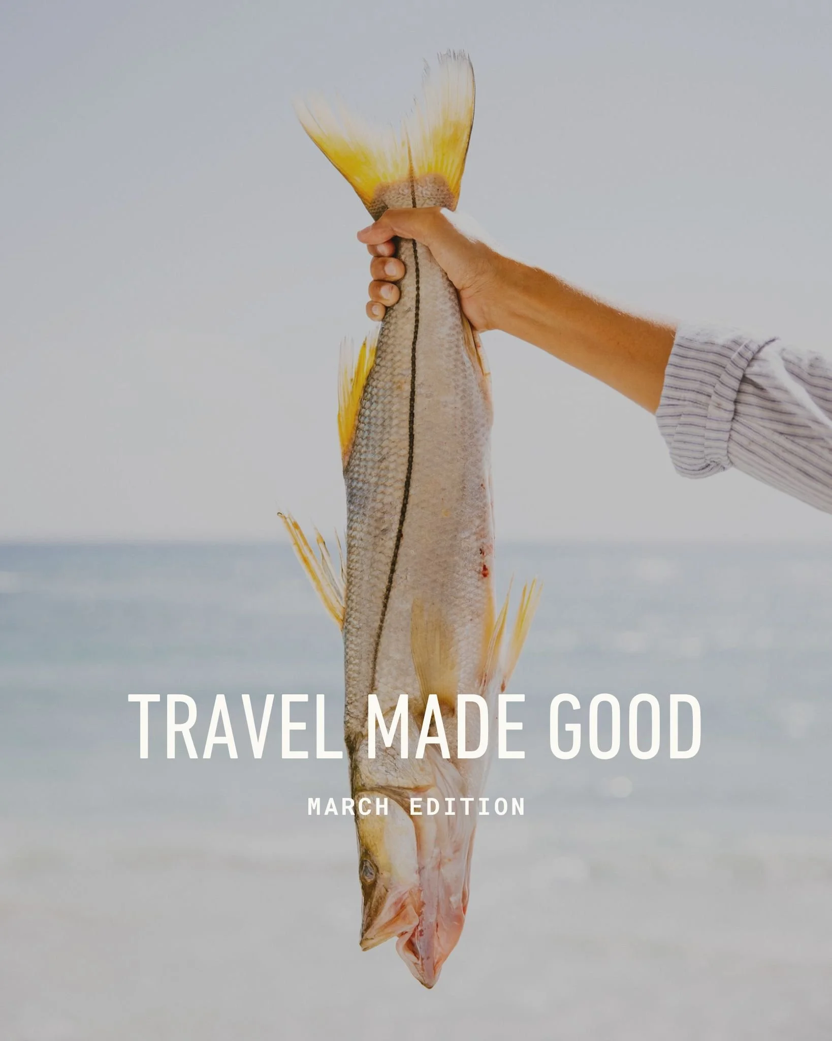 Travel Made Good March 2025