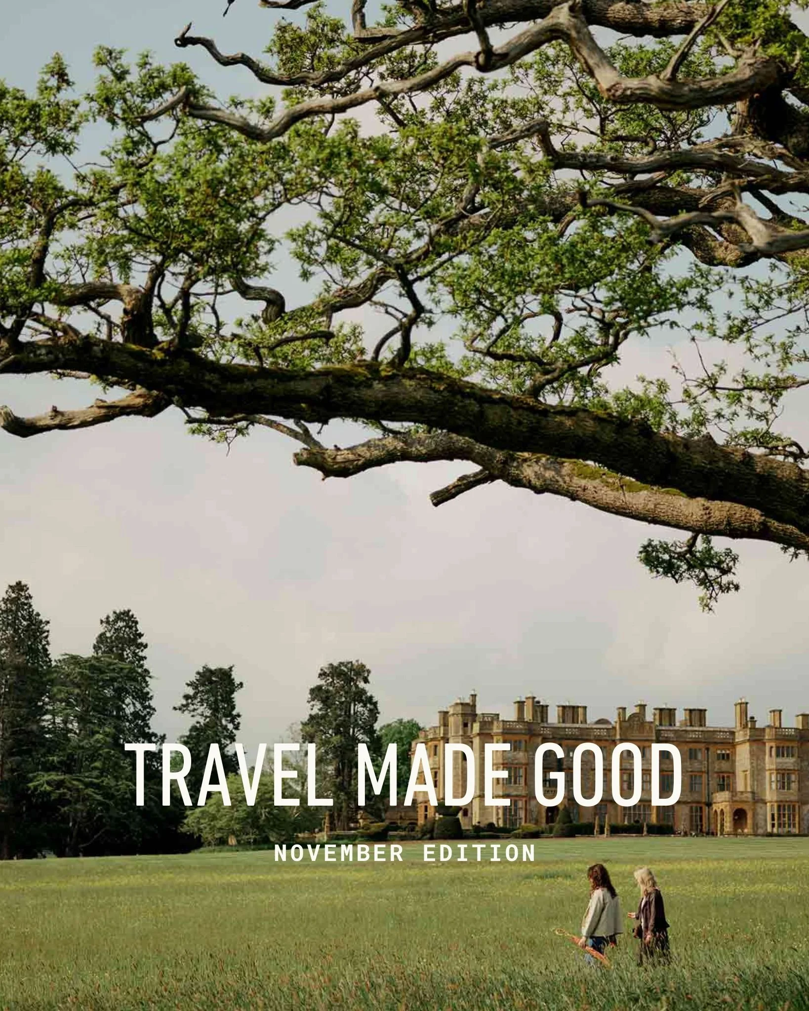 Travel Made Good - November 2025