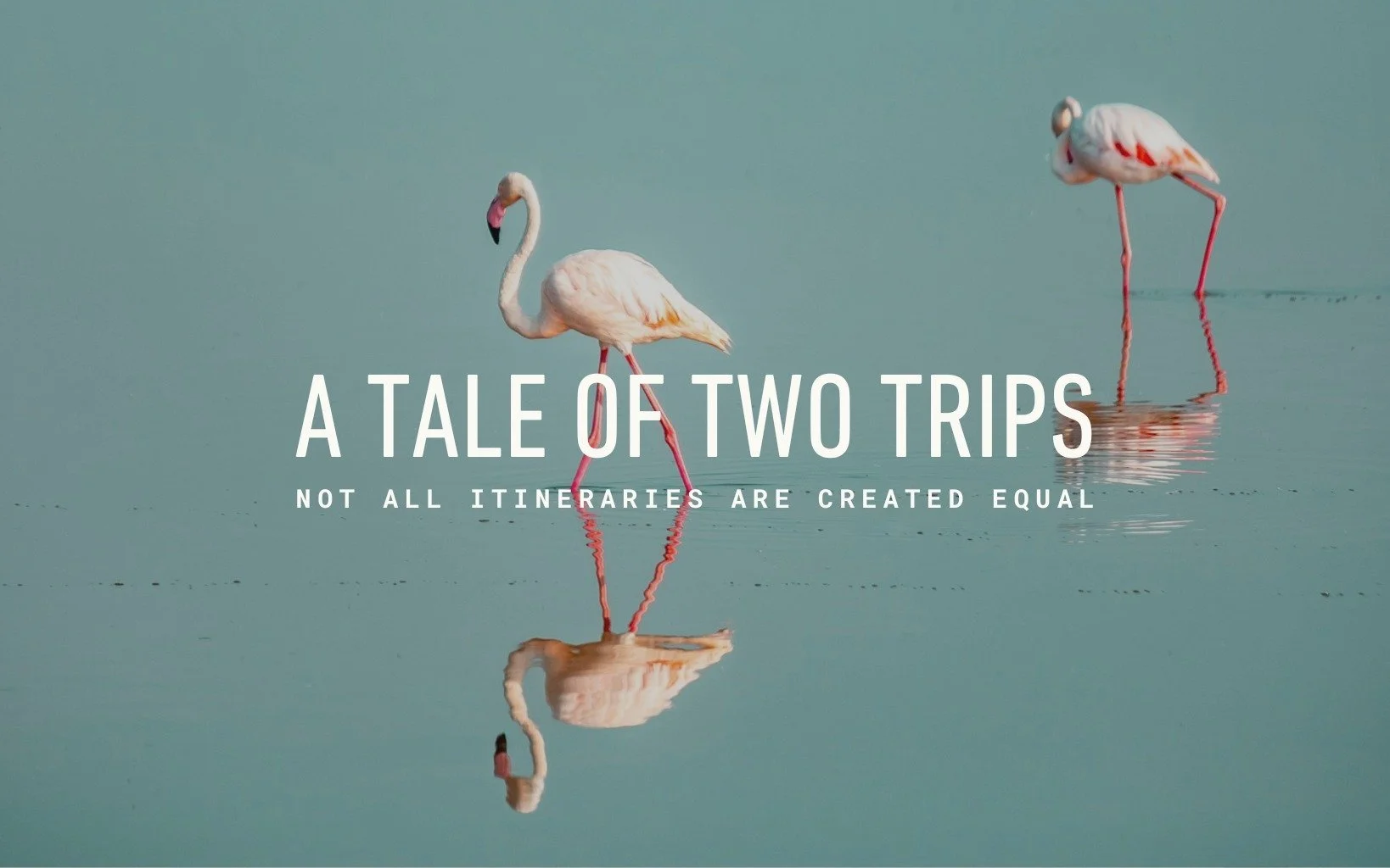 One Place, Two Different Trips, March 2026