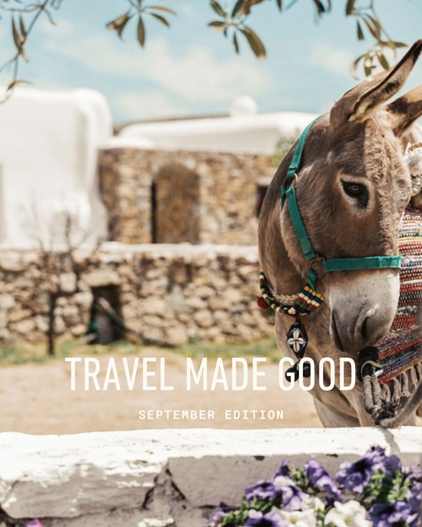 Travel Made Good: September 2025