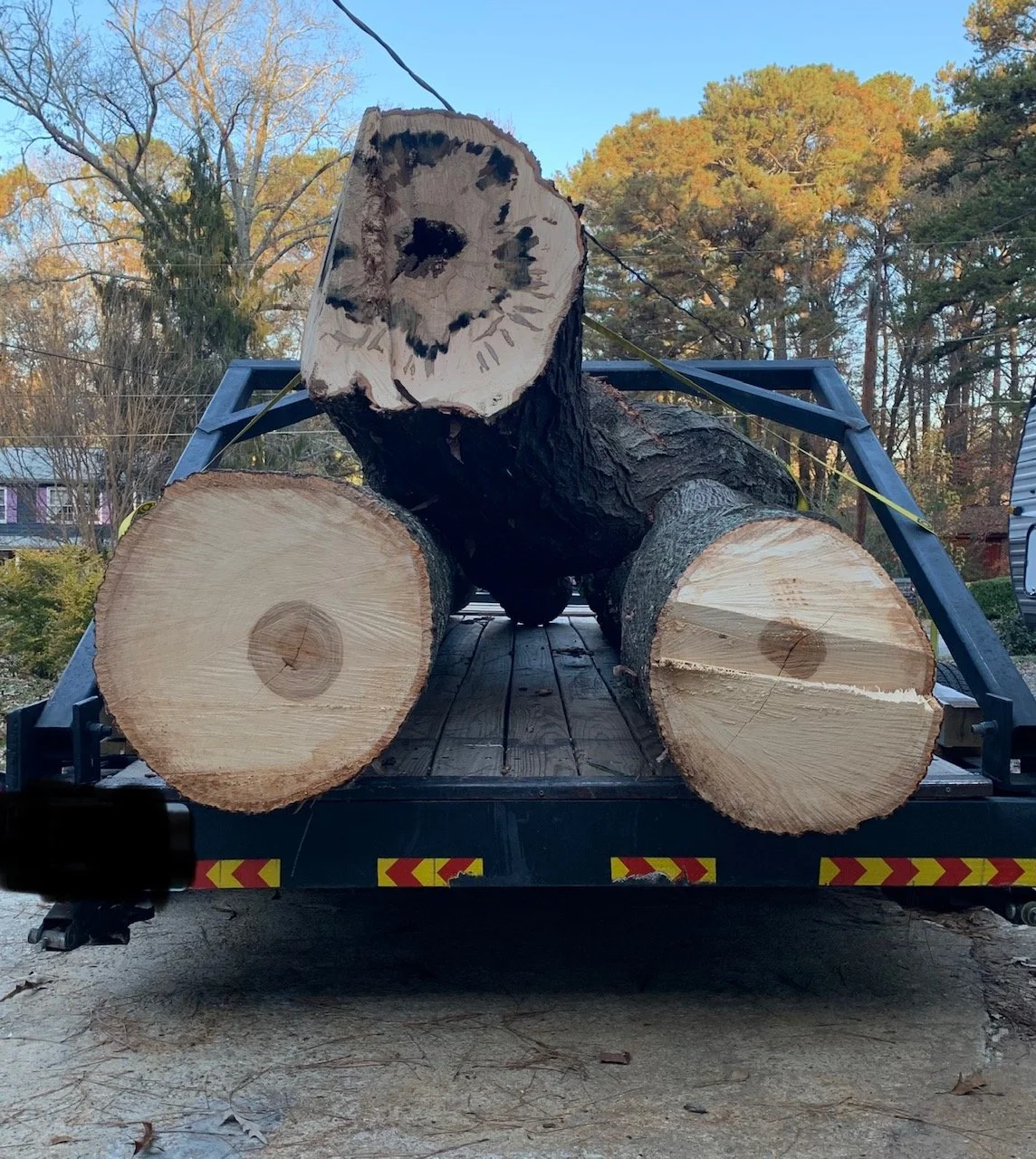 Gallery 3 — Live Edge Wood Slabs Atlanta