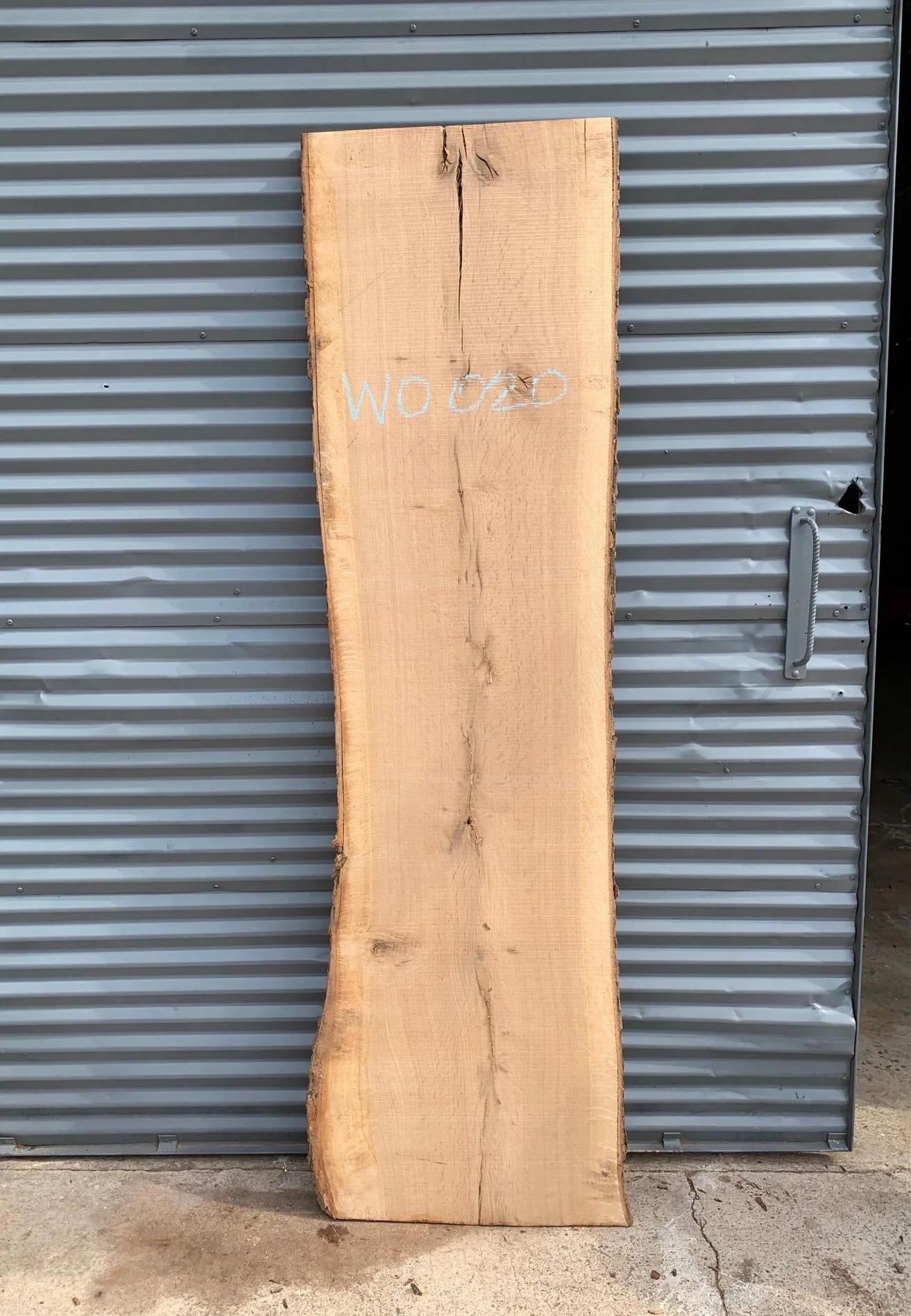 37.5" long x 14"16" wide x 1.75" thick White Oak Live Edge Slab. Kiln