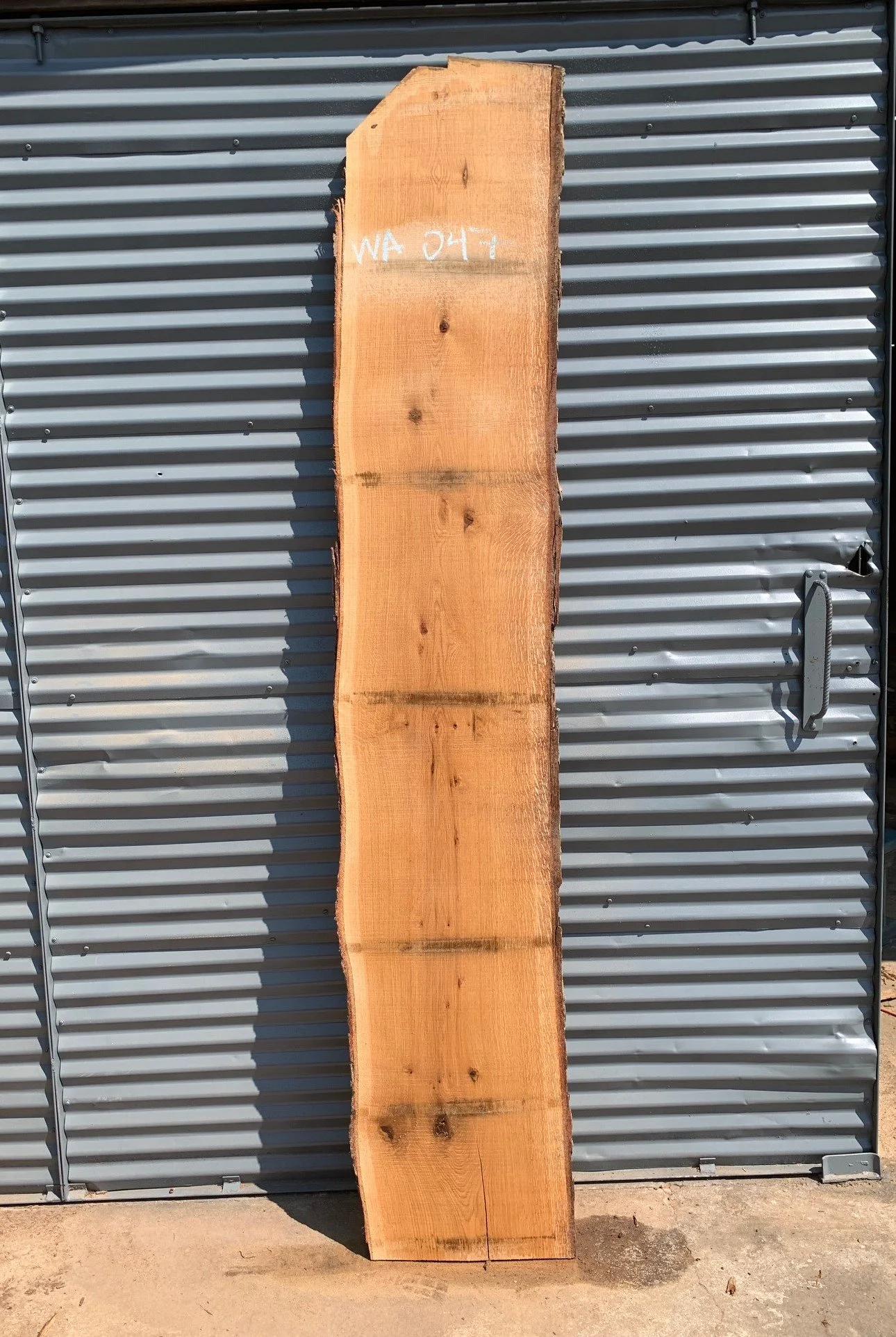 70 Long X 9 18 Wide X 1 5 Thick Water Oak Live Edge Slab Kiln 70-long-x-9-18-wide-x-1-5-thick-water-oak-live-edge-slab-kiln