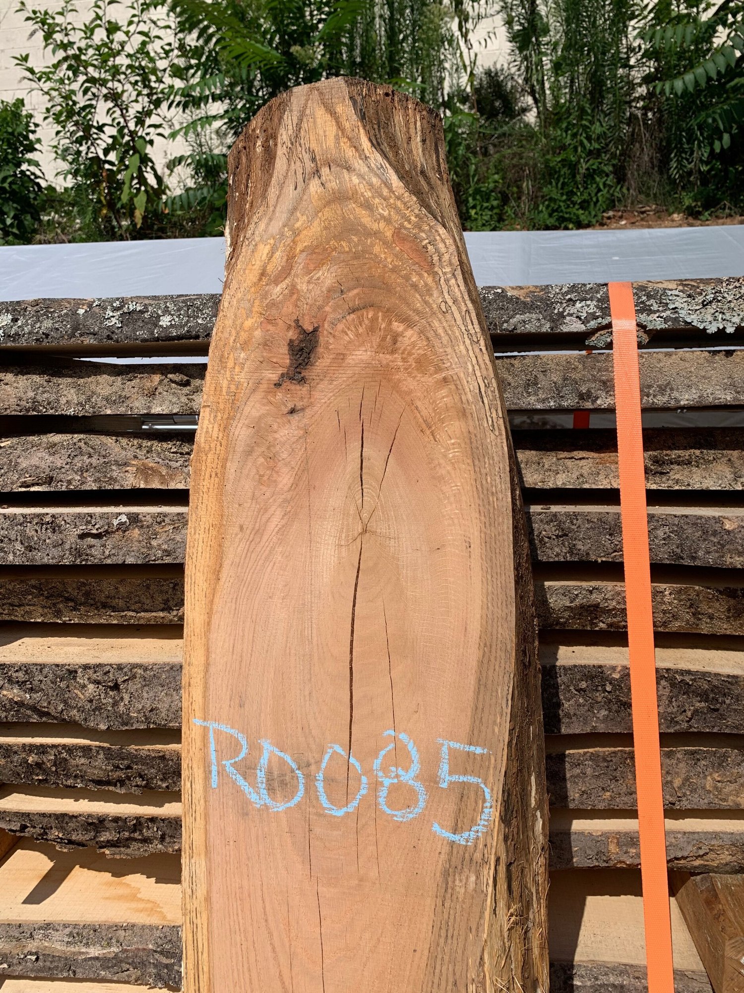 80.5