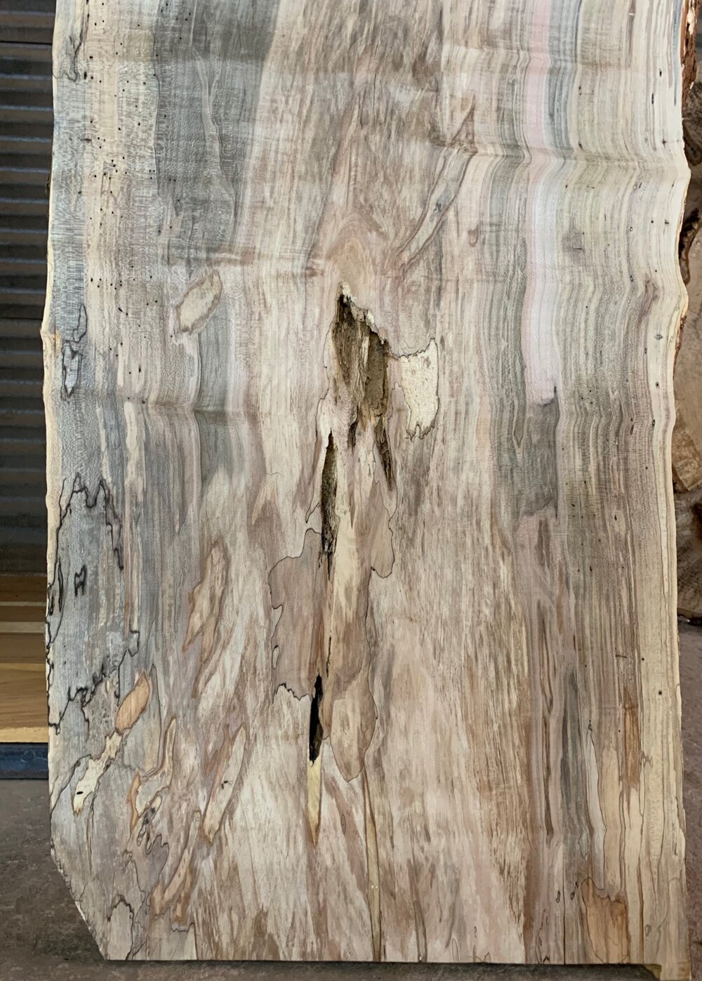 Silver Maple Wood Slab: VM-05-05 – Bluestone Organic