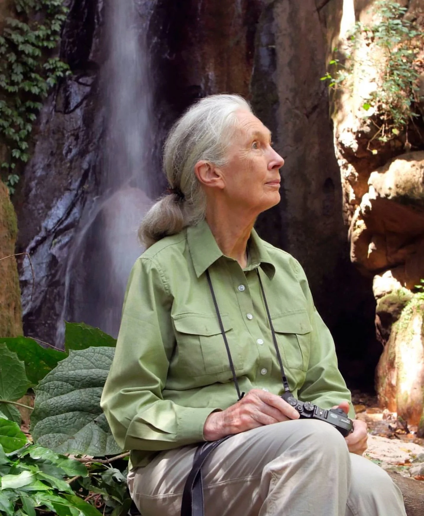 I&rsquo;m am so sad to hear of the passing of one of my biggest heroes. As a little girl, I wanted to be like Jane Goodall. To study animals in their natural habitat, sounded like a dream job. Rest in Peace @janegoodallinst You will forever be an ins