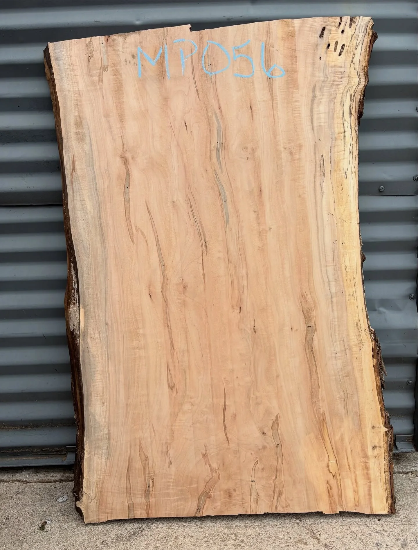 Another stunning Silver Maple! Different tree than the previous one I posted. This one has spalting and Ambrosia beetle marks, and the colors are gorgeous! I just added 4 of them to the website, grab one before I do! 
&bull;
&bull;
&bull;
#spaltedmap