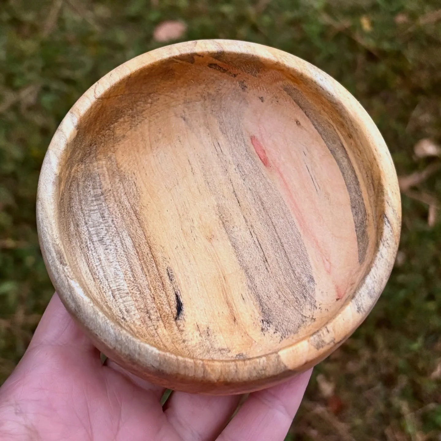 I snagged a little Box Elder scrap to see what it was like to turn it. It was so easy to work with. I wanted to push it thinner, but there is a teeny crack that I didn&rsquo;t want to fly off, so I left it as is. I love all the colors of the wood and