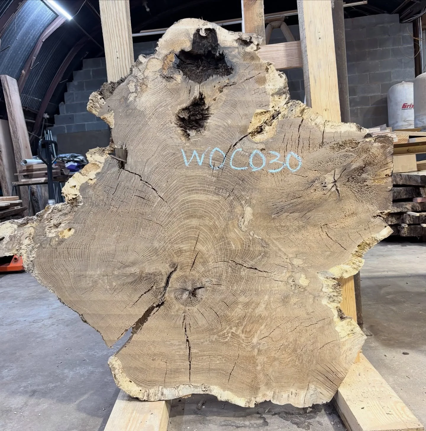 Kiln baked, CNC pampered, and chunkier than a Thanksgiving turkey&mdash;this White Oak cookie is a whopping 53&ndash;55&rdquo; across and 2.5&rdquo; thick. It&rsquo;s up for grabs now in the online store, with four more Brookhaven beasts lurking in t