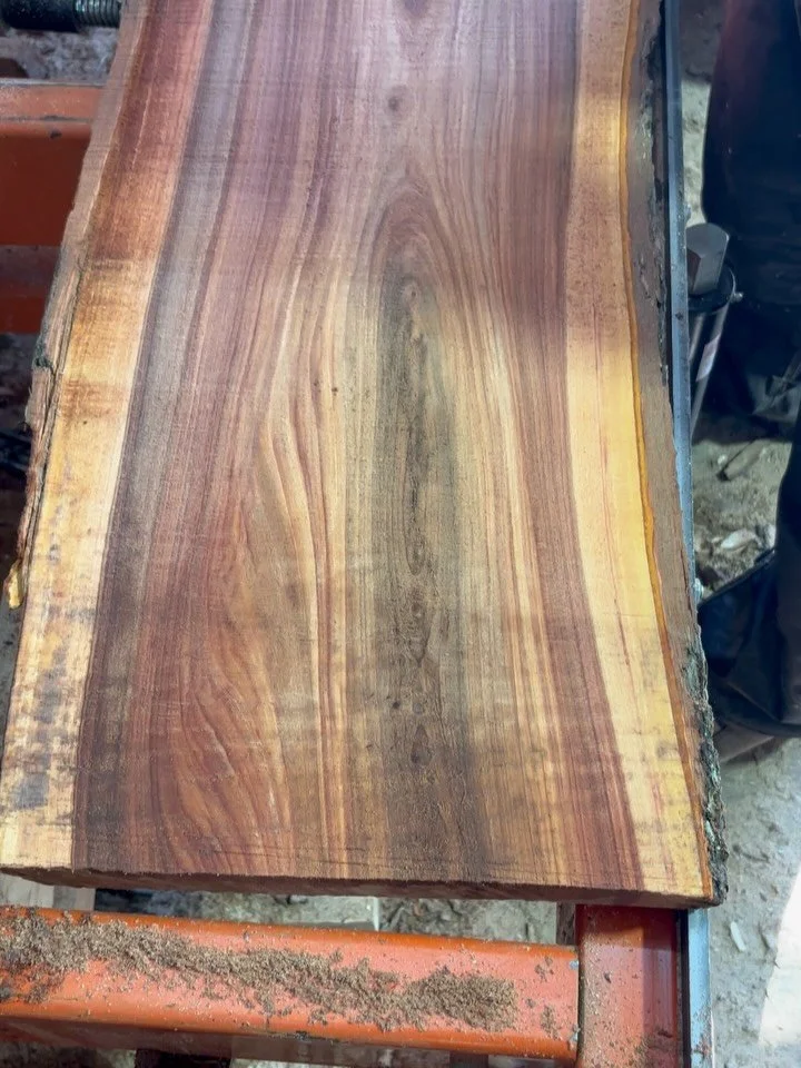I&rsquo;m so in love with this Siberian Elm! The red color and grain are crazy beautiful!
&bull;
&bull;
&bull;
#siberianelm #sawmill #salvagedwood #urbanwood #gatech #donatedlogs #atlantasawmill