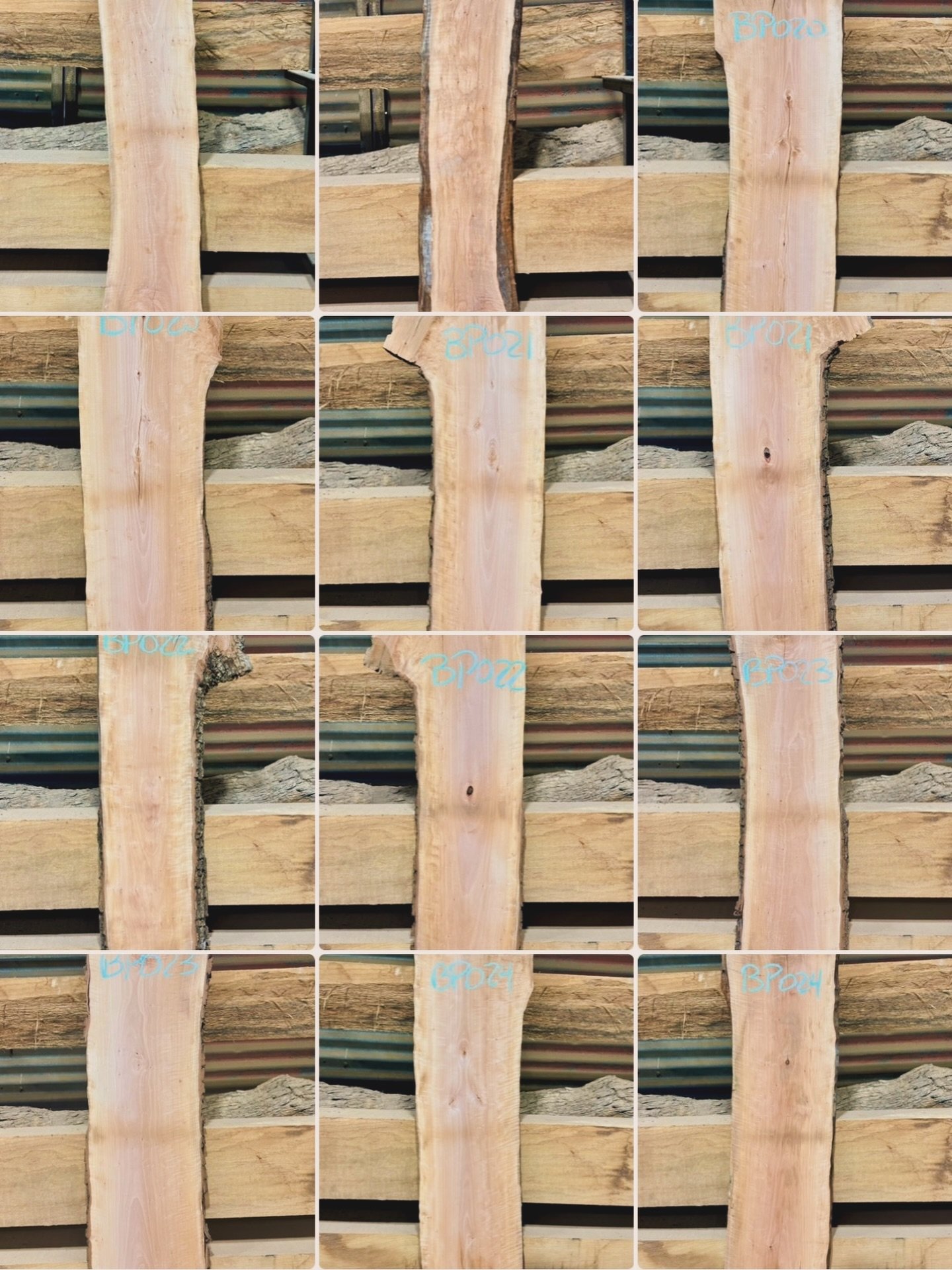 Bradford Pear might be considered an invasive species, but it is a very hard and dense wood with a 1600 janka scale rating. It is a pretty pinkish colored, fine-grained fruitwood, ideal for woodturning, carving, and smaller furniture projects. 
We ju