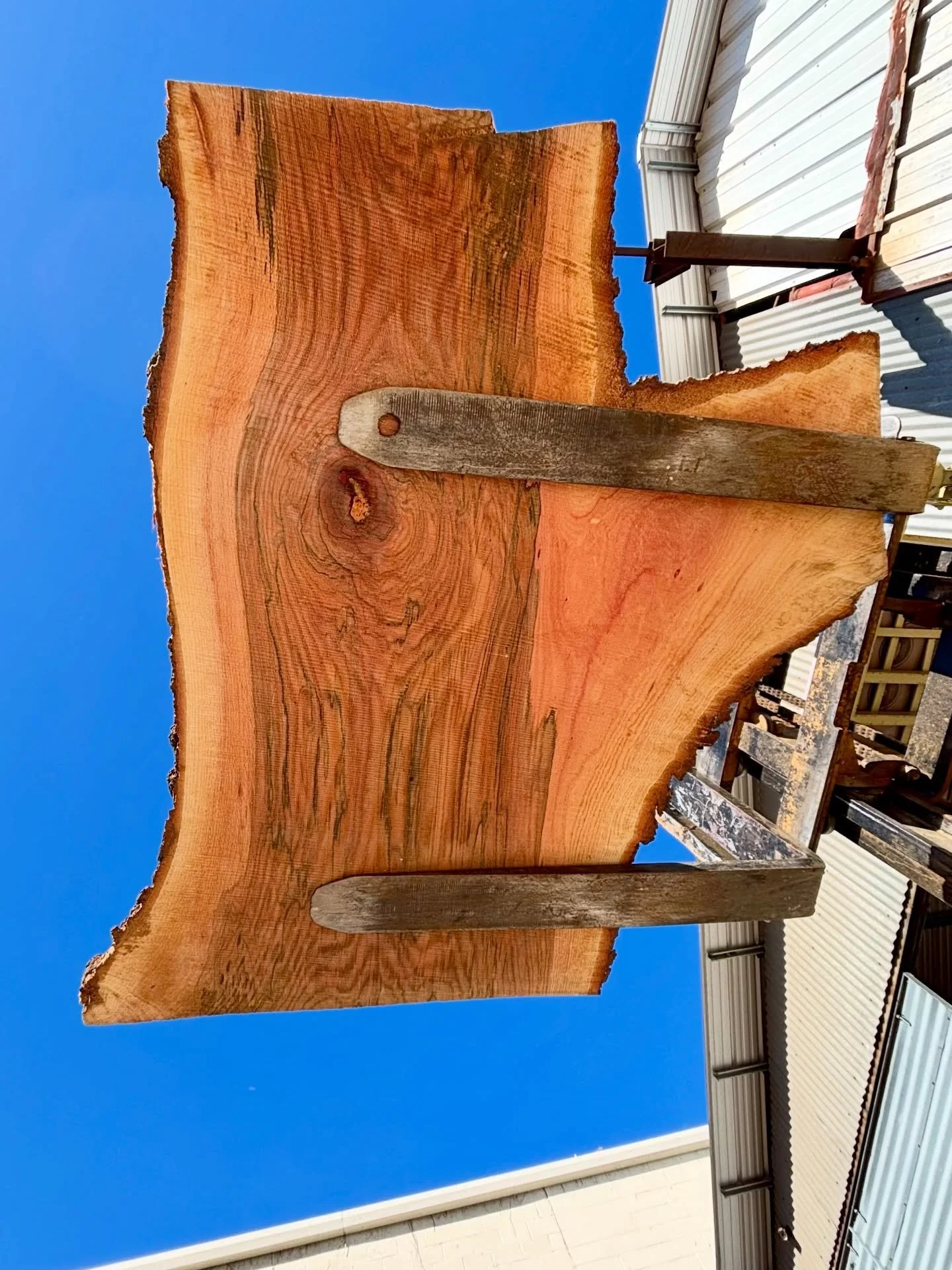 Oh the things we do to get a shot! 
&bull;
&bull;
&bull;
#sawmill #atlantalumberyard #womeninwoodworking #getthepicture #redoak