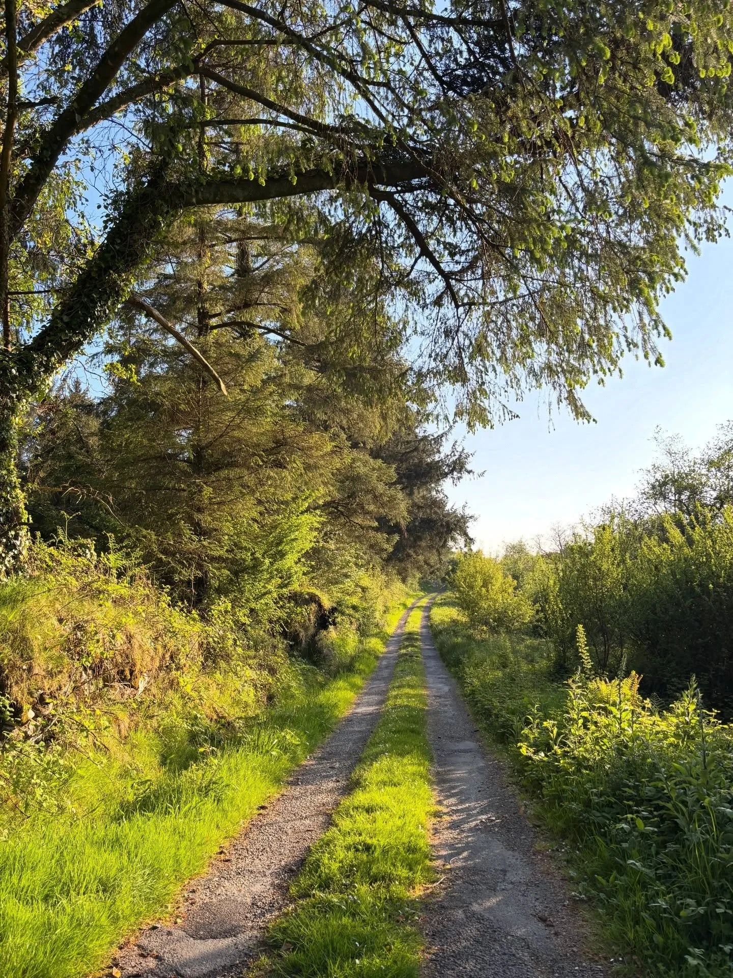 Happy Earth Day! 🌳🌎🌳 Get outside on this beautiful day and enjoy some time in nature. Whenever we get downtime or time off, it&rsquo;s the first place Ali &amp; I head with our girls. These are a few of my favorite shots from travel and camping tr