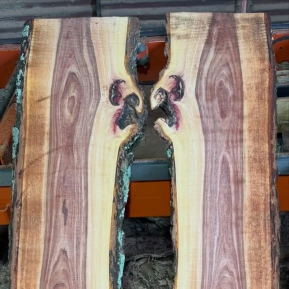 If only we could understand what they are arguing about? They&rsquo;re clearly angry with each other 😆
&bull;
&bull;
&bull;
#angrywood #keepcalmstaywooden #elm #slabs