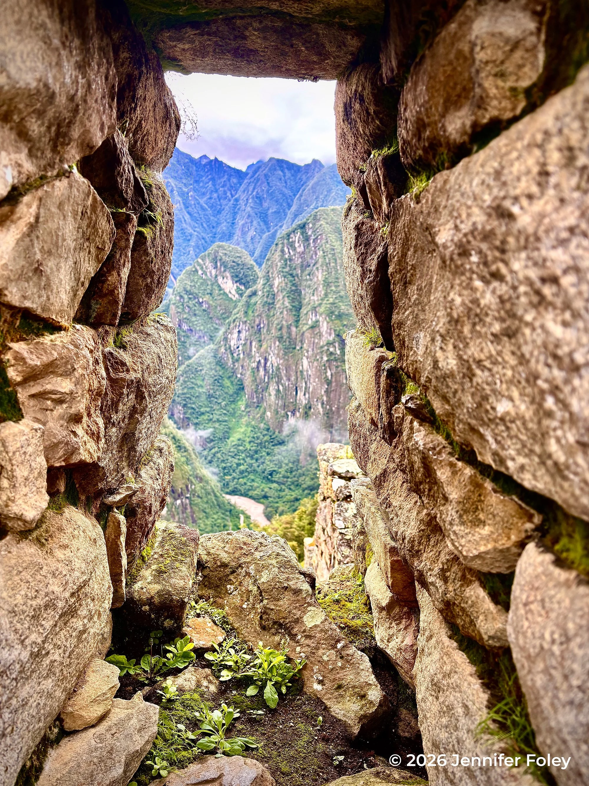 Window ©Jennifer Foley.jpg