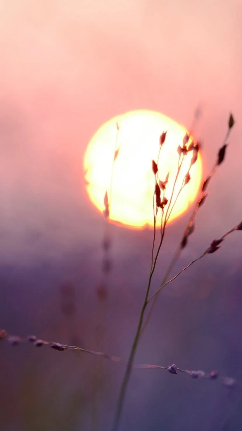 Spiritual Summer by Indigo Holistic